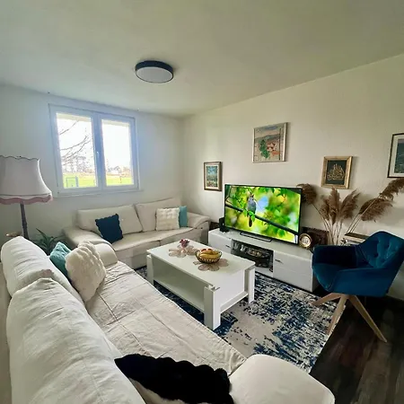 Villa Dzeki, House Ilidza *